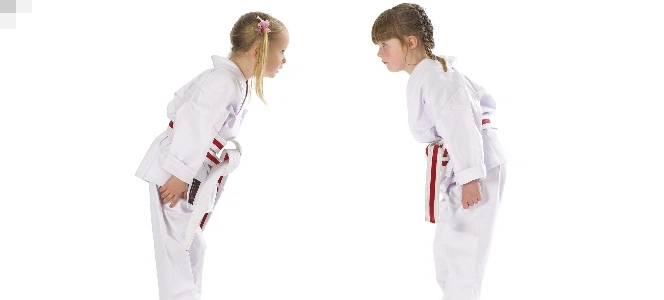 Karate Vlaardingen