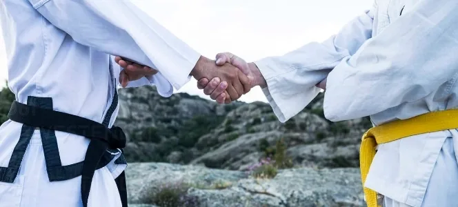 Inschrijven bij Karate Vlaardingen